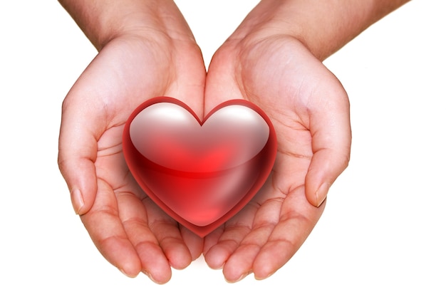 Red heart in hands on white