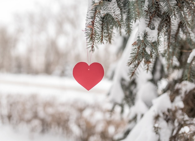 Red heart hangs in the winter forest on a spruce branch. Romance love and Valentine's Day