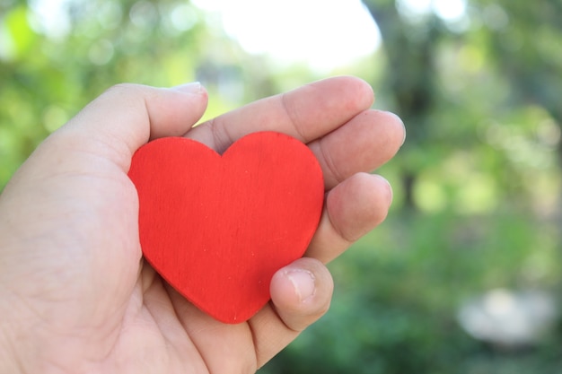 Foto cuore rosso tenere in mano