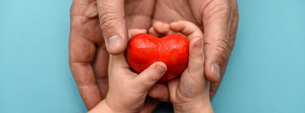 A red heart is given by an adult hand into children\'s hands the\
concept of giving love and care