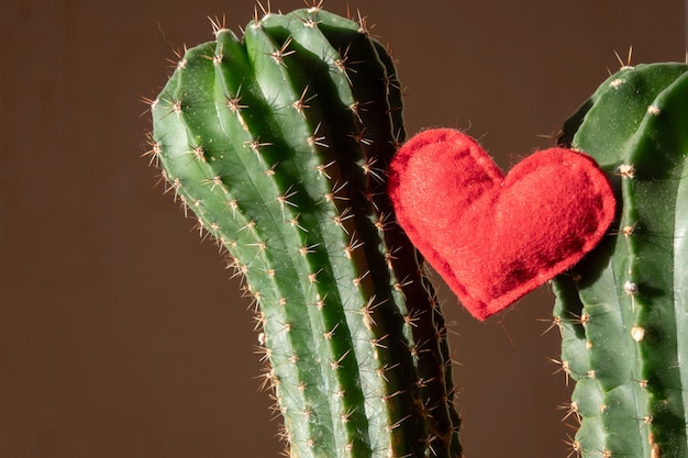 Red heart shape in a green cactus and bokeh