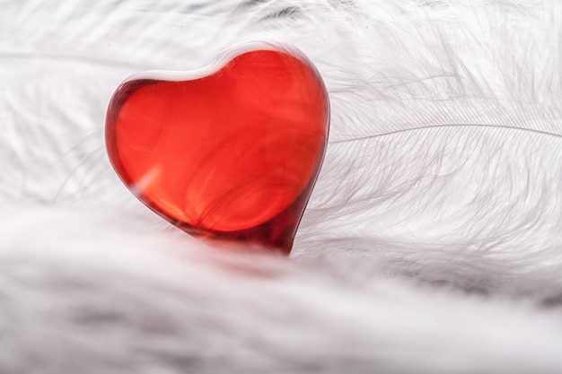 Photo red heart on a white feathers background