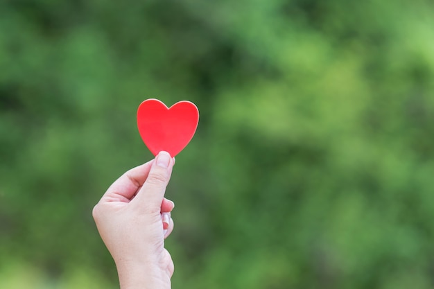 Red heart in the woman hand