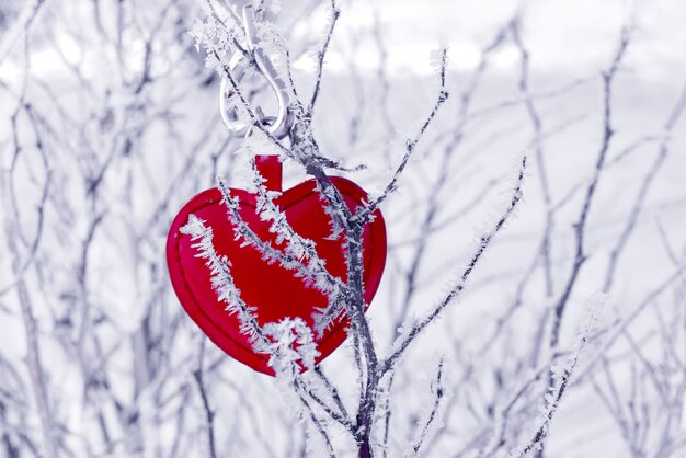 red hearts on a snowy branch in the winter forest