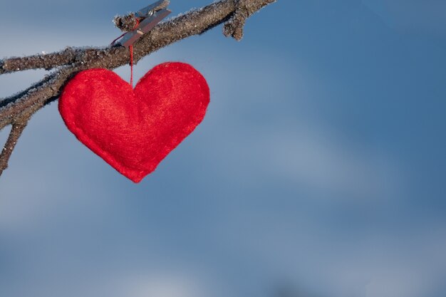 Red hearts on snowy tree branch in winter.