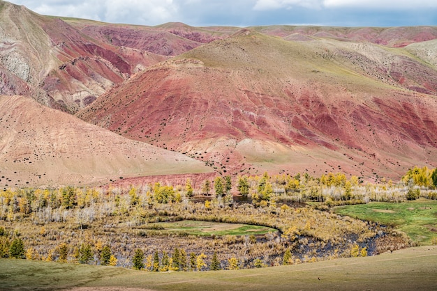 キジルシン川の渓谷にある赤い丘の中腹。コシュアガチスキー地区、アルタイ共和国、ロシア