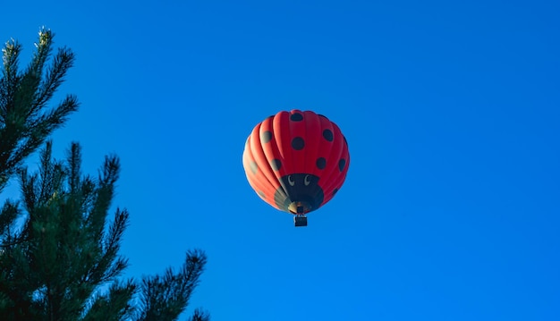 Red hot air balloon flying in clear blue sky decorated as ladybird