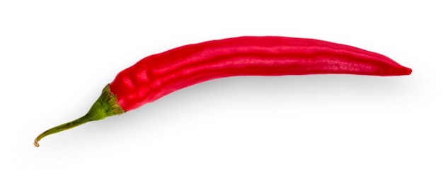 Red hot chili pepper isolated