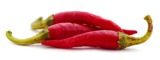 Red hot chili pepper isolated