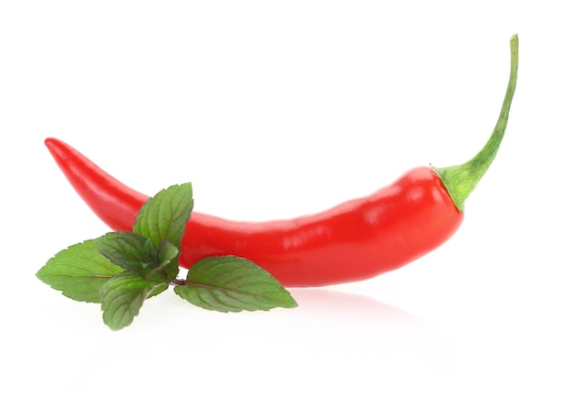 Red hot chili pepper with mint leaves isolated on white background