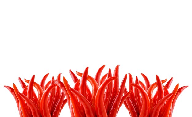 Red hot chili peppers on white background