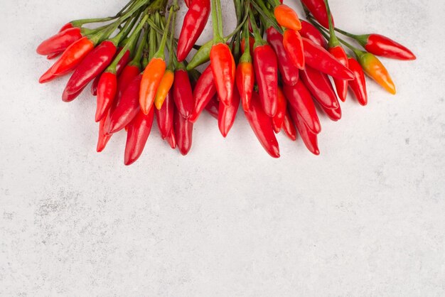 Red hot chilli pepper on a white textured background, ingredients for spicy food, copy space