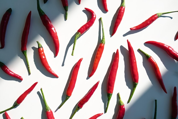 Red hot little chili peppers pattern isolated on white background Top view Flat lay