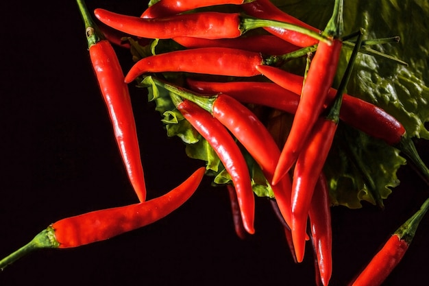 red hot pepper on black background on lettuce leaf