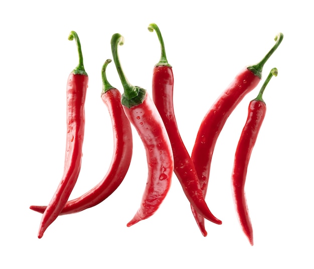 Red hot pepper levitates on a white background