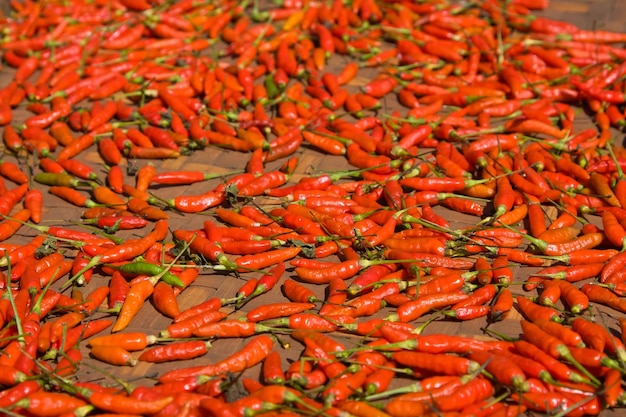 Red hot peppers background from north area in thailand