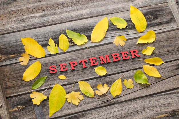 Red inscription September on a wooden background frame of yellow leaves
