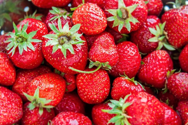 Red juicy and tasty organic strawberries