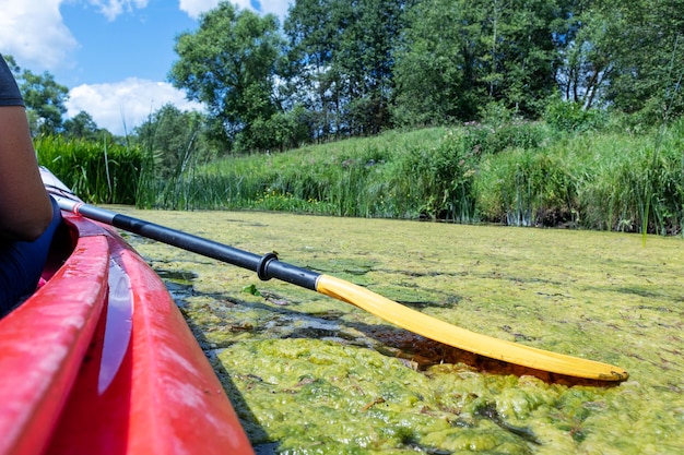 A red kayak with a yellow oar floats through green mud