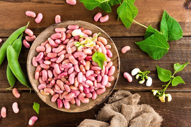 Red kidney beans Haricot bean