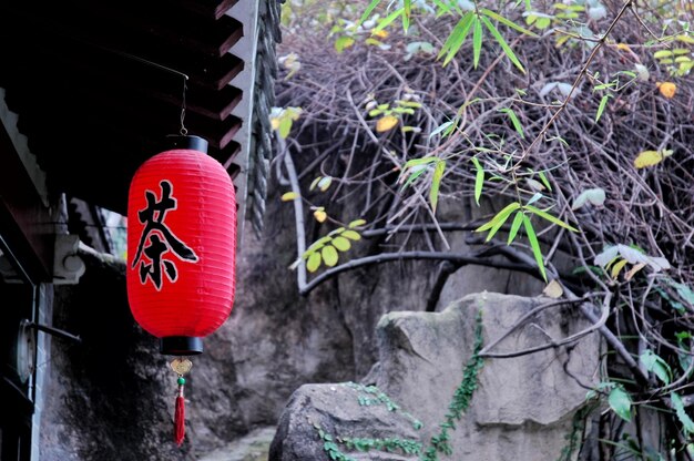 Photo red lanterns hanging on wall