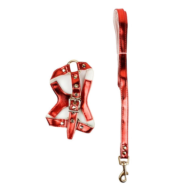 red 
leash and collar for walking