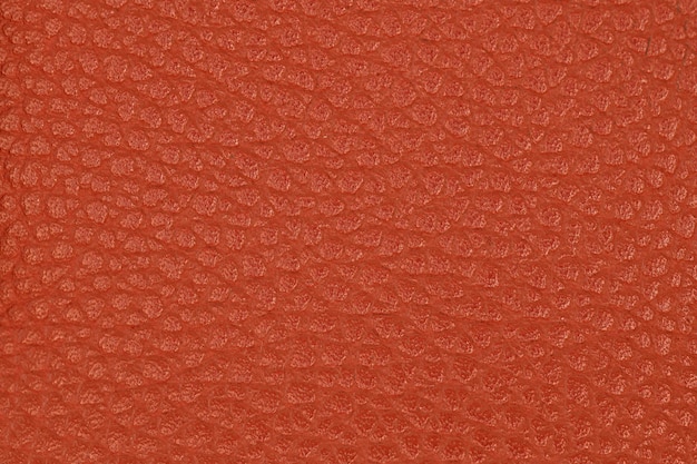 Photo red leather textured background closeup