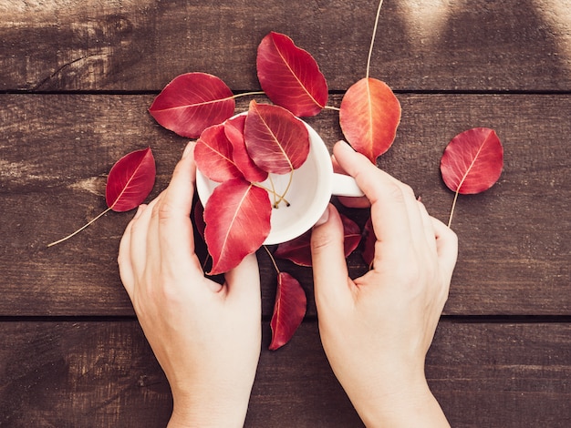 Foglie rosse, mani femminili, tazza di caffè