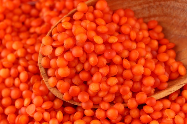 Red lentil and a spoon close up