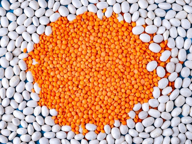Red lentils in the form of a circle on a white fosoli Background with the texture of beans