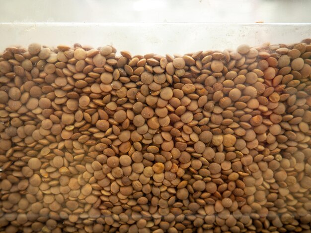 Red lentils Grains background In the store on the showcase