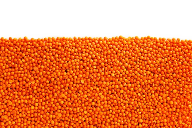 Red lentils isolated on white background copy space