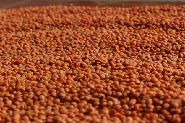 Red lentils red dal or maisoor dal in the ground with black background