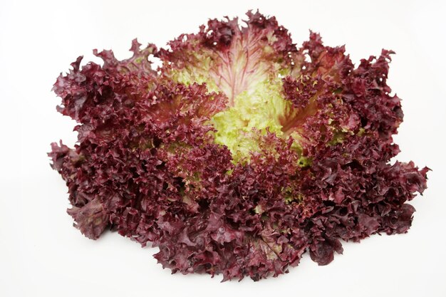 Red lettuce isolated on white background