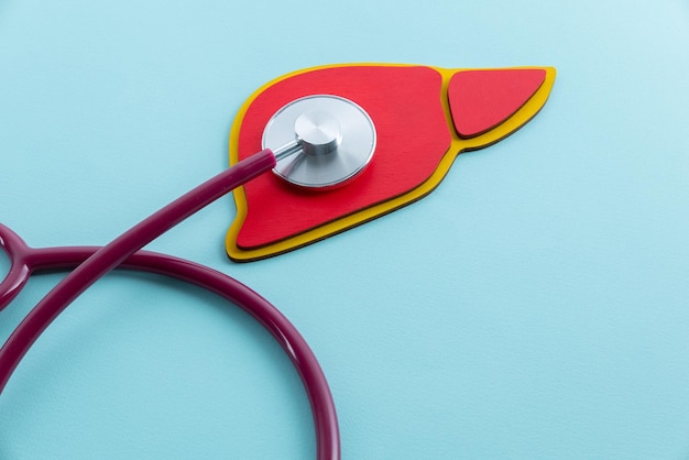 Photo red liver and stethoscope lies on a blue background