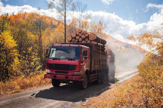 Red logging truck on forest road in autumn