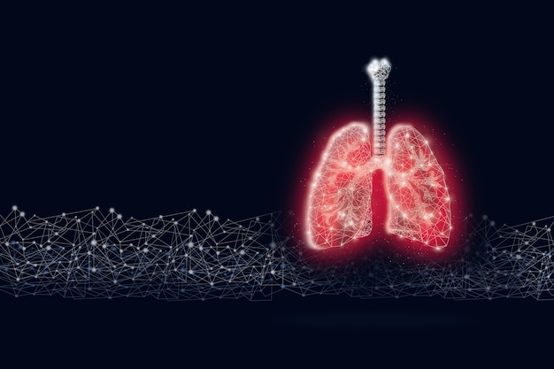 Red low poly human lungs with digital line on dark blue background. Abstract anatomy organ.