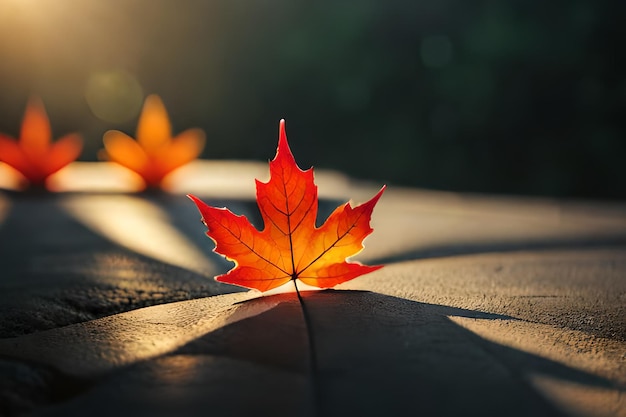 A red maple leaf on a stone surface with the sun shining on it.