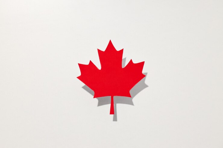 Photo red maple leaf on a white background