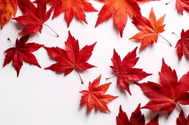 Red maple leaves isolated on white background generate ai