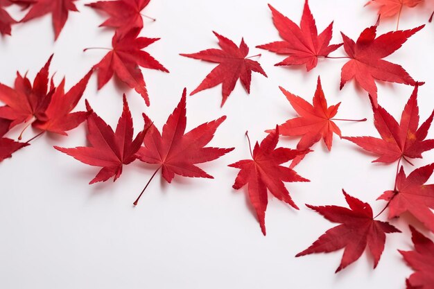 Red maple leaves isolated on white background generate ai