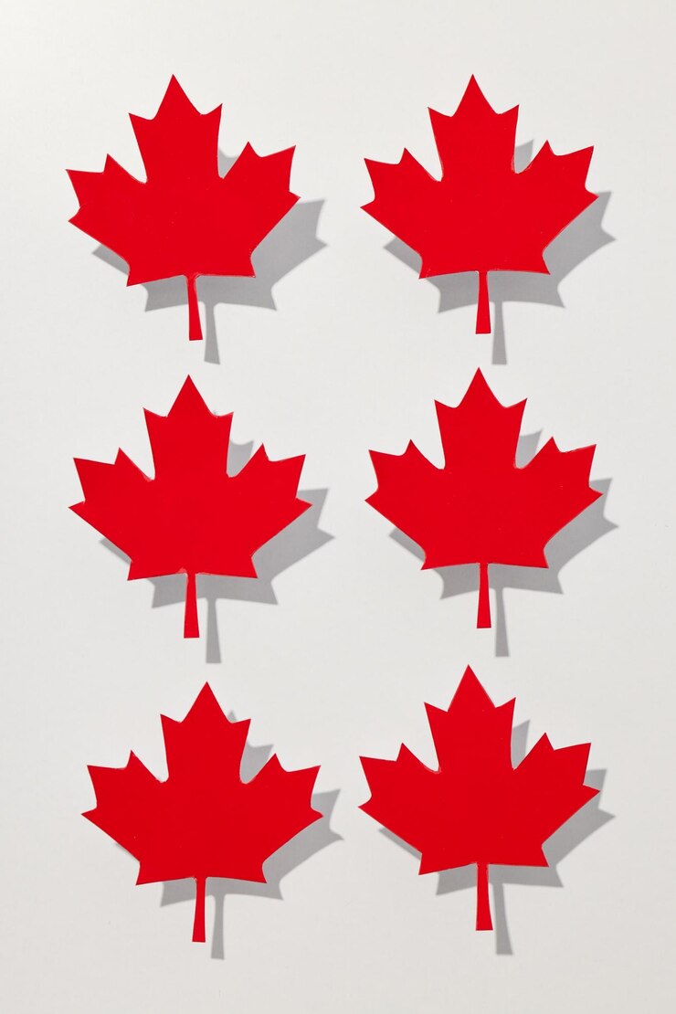 Photo red maple leaves on a white background