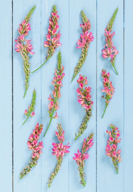 Photo red meadow flowers on blue wooden background flat lay top view