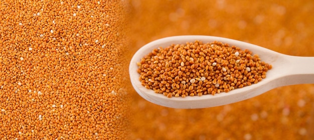 Red millet grains close up