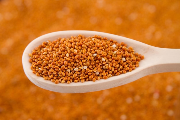 Red millet grains with in wooden spoon