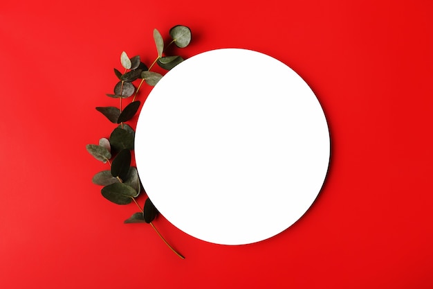 Red minimal background with isolated place for textFresh eucalyptus branch near it