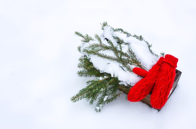 Red mittens, paper dog figures and green fir tree branches in wooden decorative box on snow.