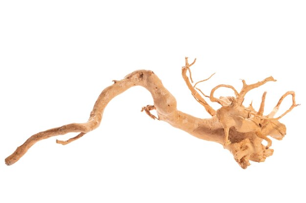 Photo red moor driftwood for aquarium aquascaping design isolated on the white background