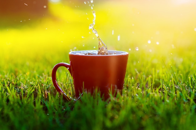 公園の芝生の上のコーヒーの赤いマグカップ