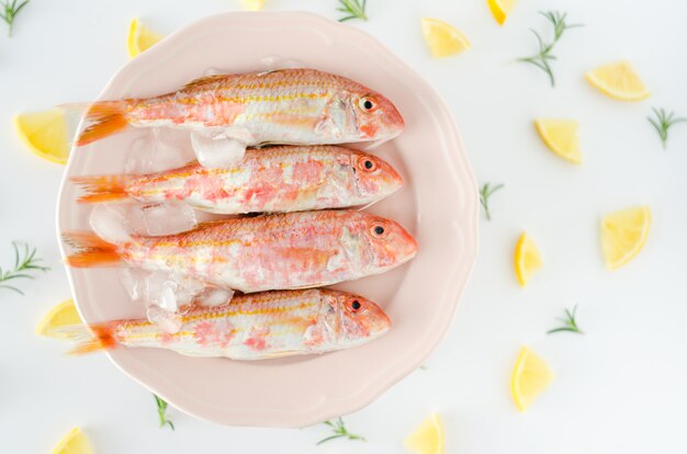 Red mullet on plate on white background. Flat lay.